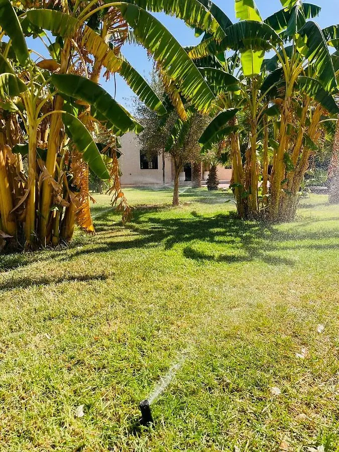 Villa Msholidays Victoria Privatisee Marrakech 마라케시 0*,  모로코